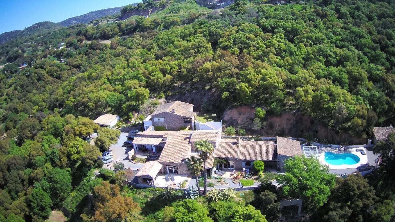 Les Aurochs Bed & Breakfast Grimaud Exterior foto