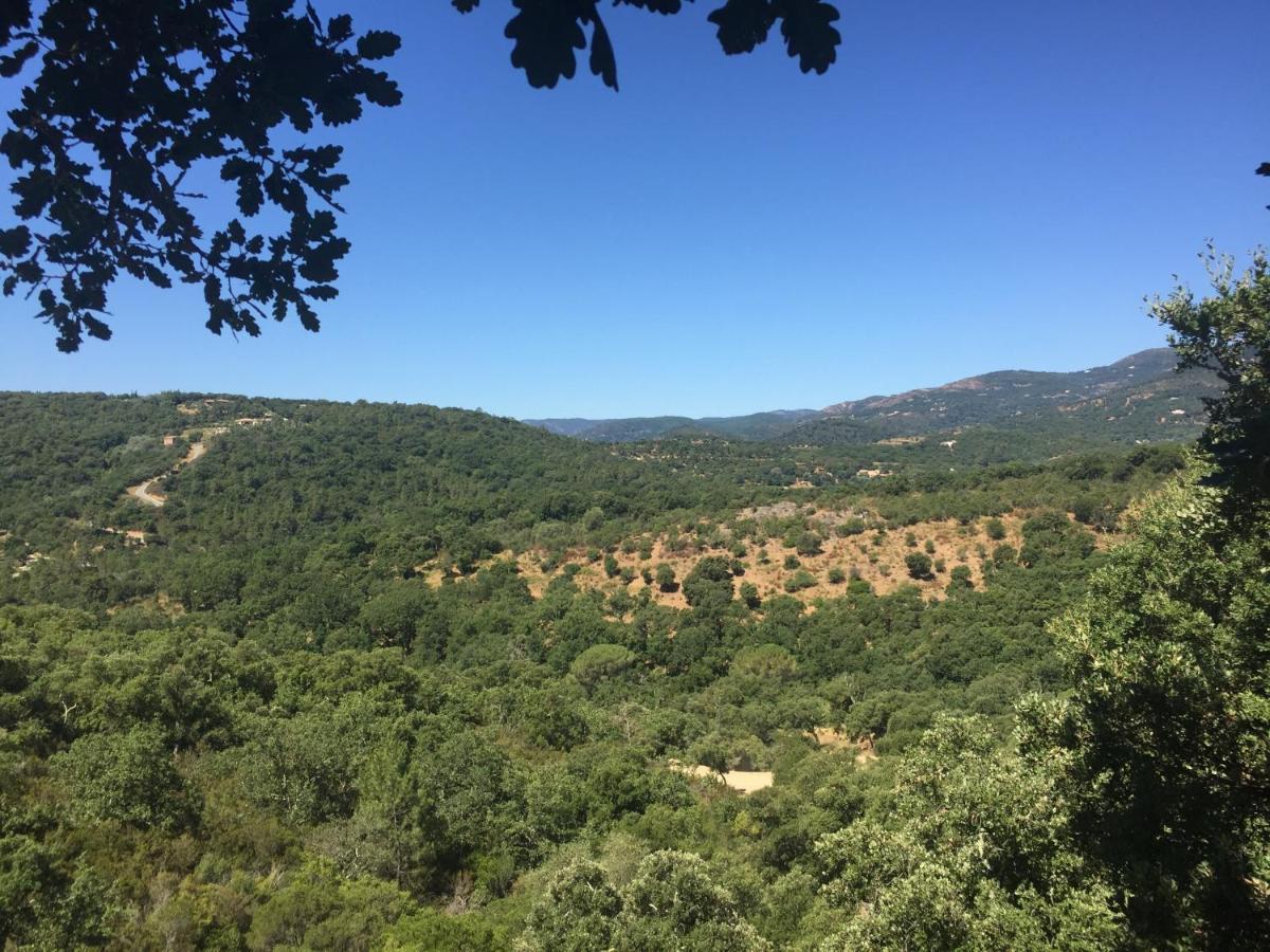 Les Aurochs Bed & Breakfast Grimaud Exterior foto
